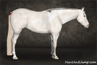 Horse Color:White Spotted Perlino Roan Dun 