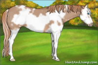 Horse Color:White Spotted Red Dun Roan Splash Frame