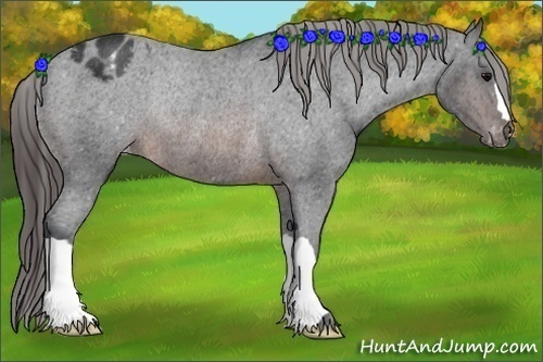 Horse Color: Brown Varnish Rabicano 