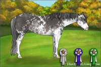 Horse Color:Brown Sabino