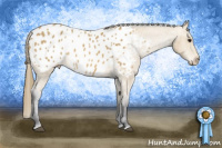 Horse Color:Buckskin Blanket 