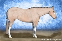 Horse Color:Bay Snowcap 