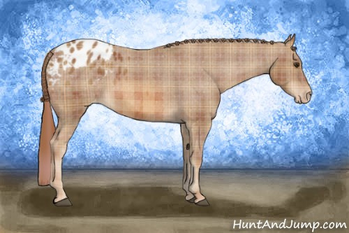 Horse Color: Plaid  Chestnut Blanket 