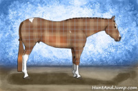 Horse Color:Plaid Chestnut Sabino Tobiano