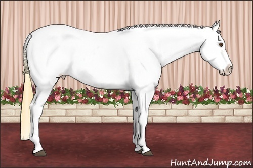 Horse Color: Buckskin Dun Splash Tobiano Snowcap 