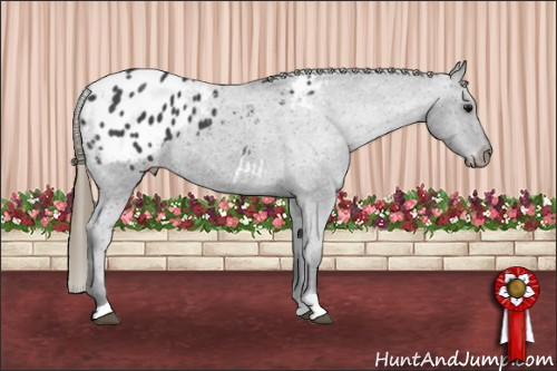 Horse Color: Smoky Blue Roan Blanket 
