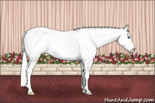 Horse Color: Silver Buckskin Roan Splash Near Fewspot 