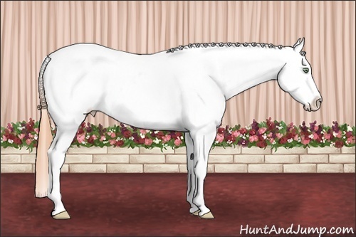 Horse Color: Amber Champagne Dun Sabino Splash Snowcap 