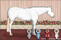 Horse Color:Amber Cream Champagne Dun Tobiano Snowcap 