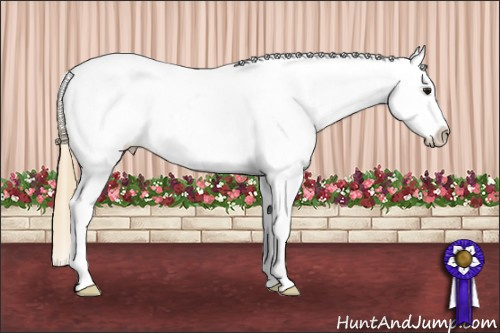 Horse Color: Buckskin Sabino Near Fewspot 