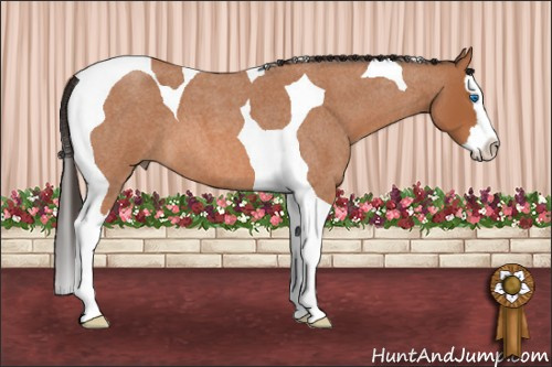 Horse Color: Bay Roan Splash Tobiano 