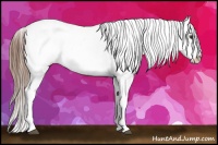 Horse Color:White Spotted Bay Snowcap 