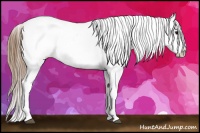 Horse Color:White Spotted Brown Varnish 