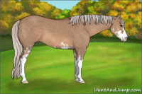 Horse Color:Silver Brown Dun Sabino 
