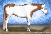 Horse Color:Chestnut Splash Frame