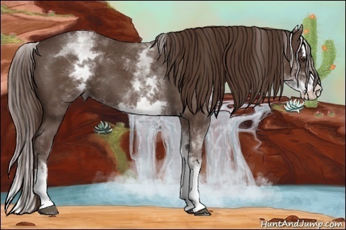 Horse Color:White Spotted Liver Red Roan Splash 