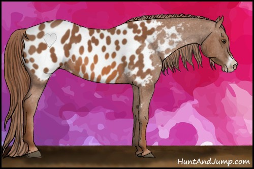Horse Color: Liver Chestnut Frame Near Leopard 