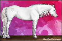 Horse Color:Chocolate Palomino Roan Pearl Near Leopard 