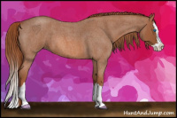 Horse Color:Liver Red Roan Splash 