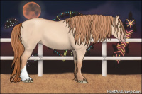 Horse Color:Gold Champagne Dun 