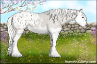 Horse Color:Silver Smoky Black Splash Appaloosa 