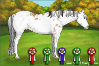 Horse Color:Bay Dun Sabino 