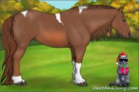 Horse Color:Liver Chestnut Tobiano 