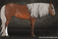 Horse Color:Silver Brown 