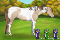 Horse Color:Grullo Pearl Tobiano Rabicano