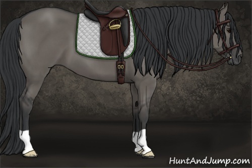 Horse Color: Grullo 