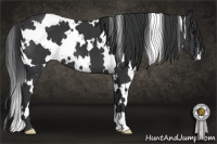 Horse Color:White Spotted Brown 