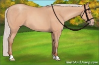 Horse Color:Silver Sable Champagne Roan