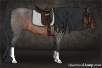 Horse Color:Brown Roan