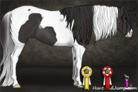 Horse Color:Buckskin Tobiano