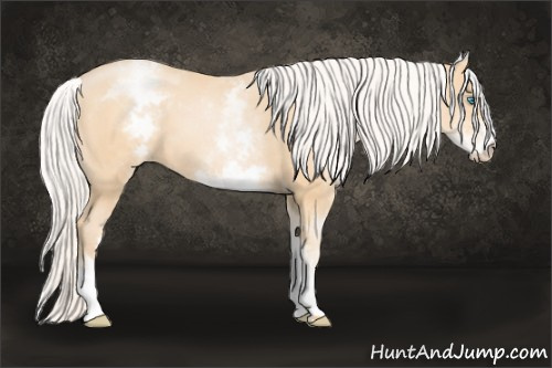 Horse Color: White Spotted Silver Buckskin Pearl 