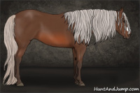 Horse Color:Silver Bay 