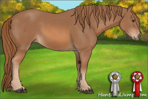 Horse Color: Chestnut 