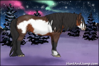 Horse Color:Brown Frame 