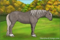 Horse Color:Silver Black 