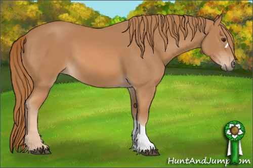 Horse Color: Chestnut 