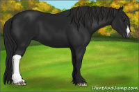 Horse Color:Gray Black 