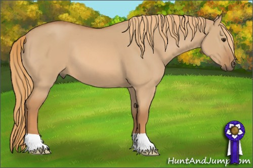 Horse Color: Red Dun 