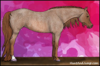 Horse Color:Liver Red Roan 