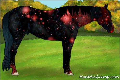 Horse Color: ERROR: UNKNOWN ANOMALY