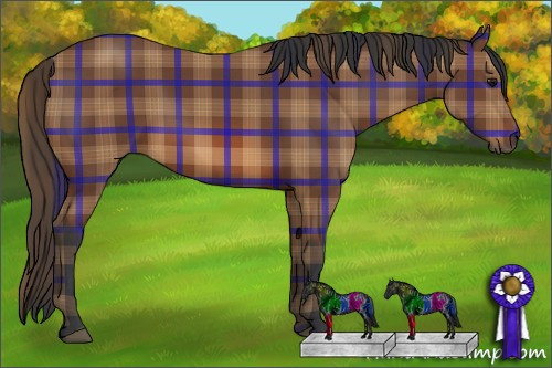 Horse Color: Plaid  Bay 
