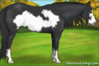Horse Color:Black Frame