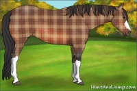 Horse Color:Plaid  Bay 