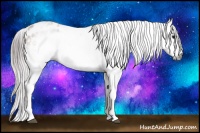 Horse Color:Gray Plaid White Spotted Bay Appaloosa