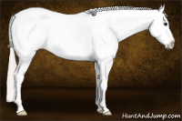 Horse Color:White Spotted Silver Bay Blanket Rabicano 