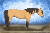 Horse Color:Buckskin Roan 